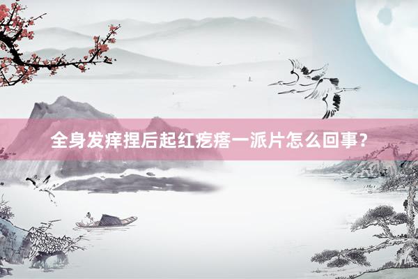 全身发痒捏后起红疙瘩一派片怎么回事？